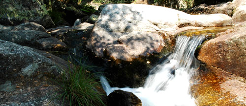 Agua que no has de beber dejala correr