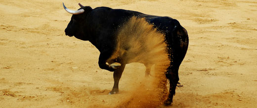 Hasta el rabo todo es toro